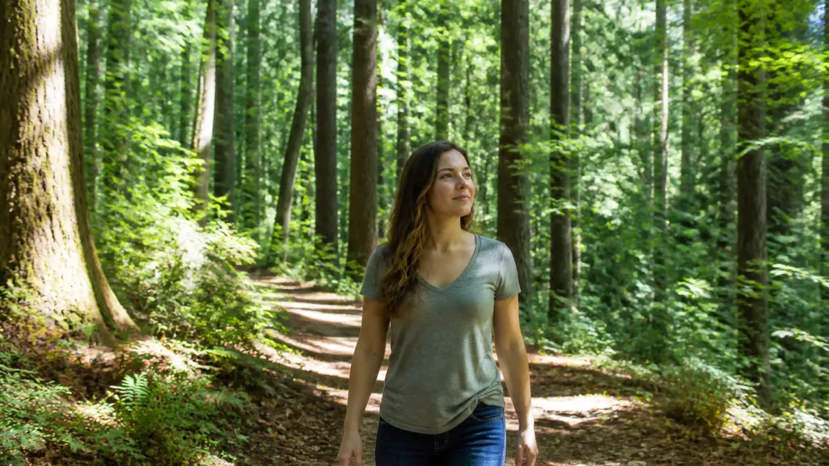 Depuis que je me promène en forêt chaque semaine : je ressens une énergie nouvelle et un profond apaisement