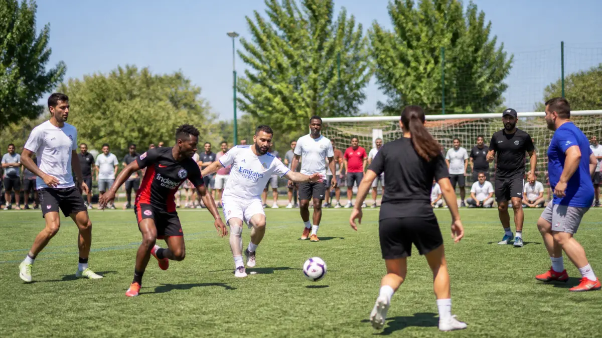 Les sports d'équipe les plus prisés en France d'après une étude récente